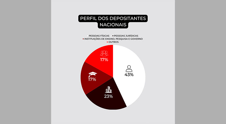 perfil dos depositos de pedidos de patente 03