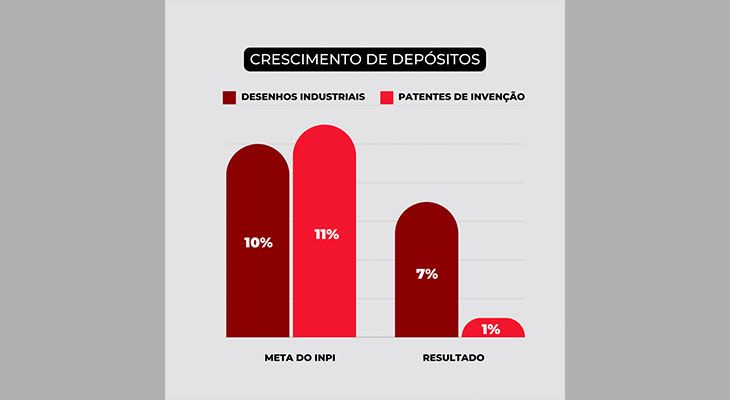 perfil dos depositos de pedidos de patente 05